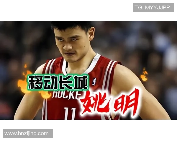 姚明红酒09的魅力与品质探秘，品味篮球巨星的独特风采与酒文化交融